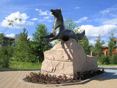 Памятник «Чёрный лис» — один из самых знаковых в городе. Он стоит прямо у входа в Историко-культурный центр «Старый Сургут». Лис почти точь-в-точь копирует изображение зверя на гербе Сургута. Бронзовая лисица была отлита в Санкт-Петербурге, в Международном центре культуры и искусства.